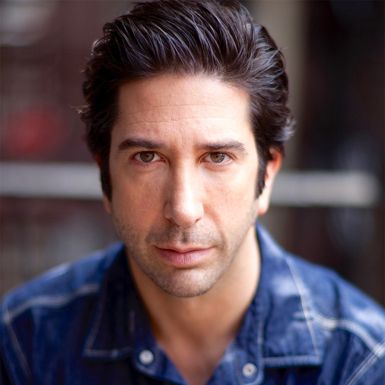 david schwimmer